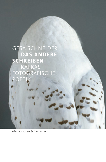 Cover zu Das Andere schreiben – Kafkas fotografische Poetik (ISBN 9783826038785)