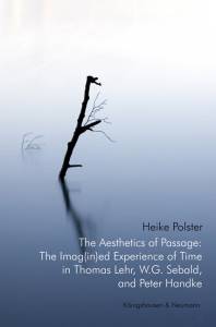 Cover zu The Aesthetics of Passage: The Imag(in)ed Experience of Time in Thomas Lehr, W.G. Sebald and Peter Handke (ISBN 9783826039089)