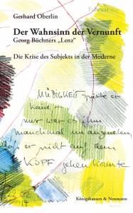 Cover zu Der Wahnsinn der Vernunft (ISBN 9783826054624)