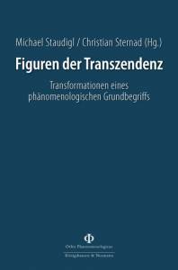 Cover zu Figuren der Transzendenz (ISBN 9783826054648)