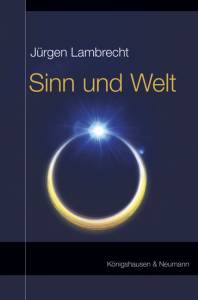 Cover zu Sinn und Welt (ISBN 9783826060304)