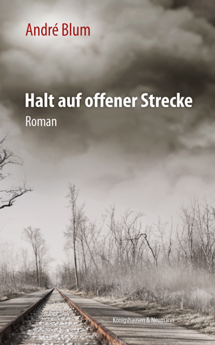 Cover zu Halt auf offener Strecke (ISBN 9783826060724)