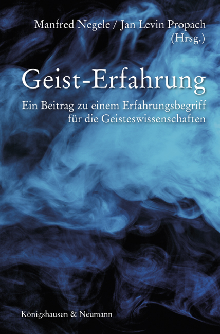 Cover zu Geist-Erfahrung (ISBN 9783826061738)
