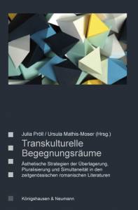 Cover zu Transkulturelle Begegnungsräume (ISBN 9783826066337)