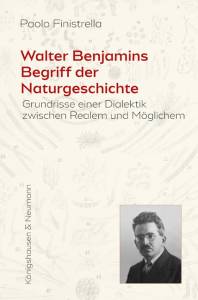 Cover zu Walter Benjamins Begriff der Naturgeschichte (ISBN 9783826069864)