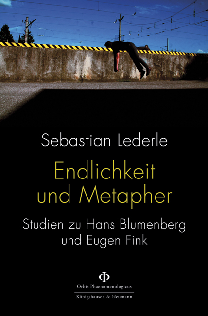 Cover zu Endlichkeit und Metapher (ISBN 9783826070594)