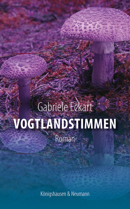 Cover zu Vogtlandstimmen (ISBN 9783826072017)